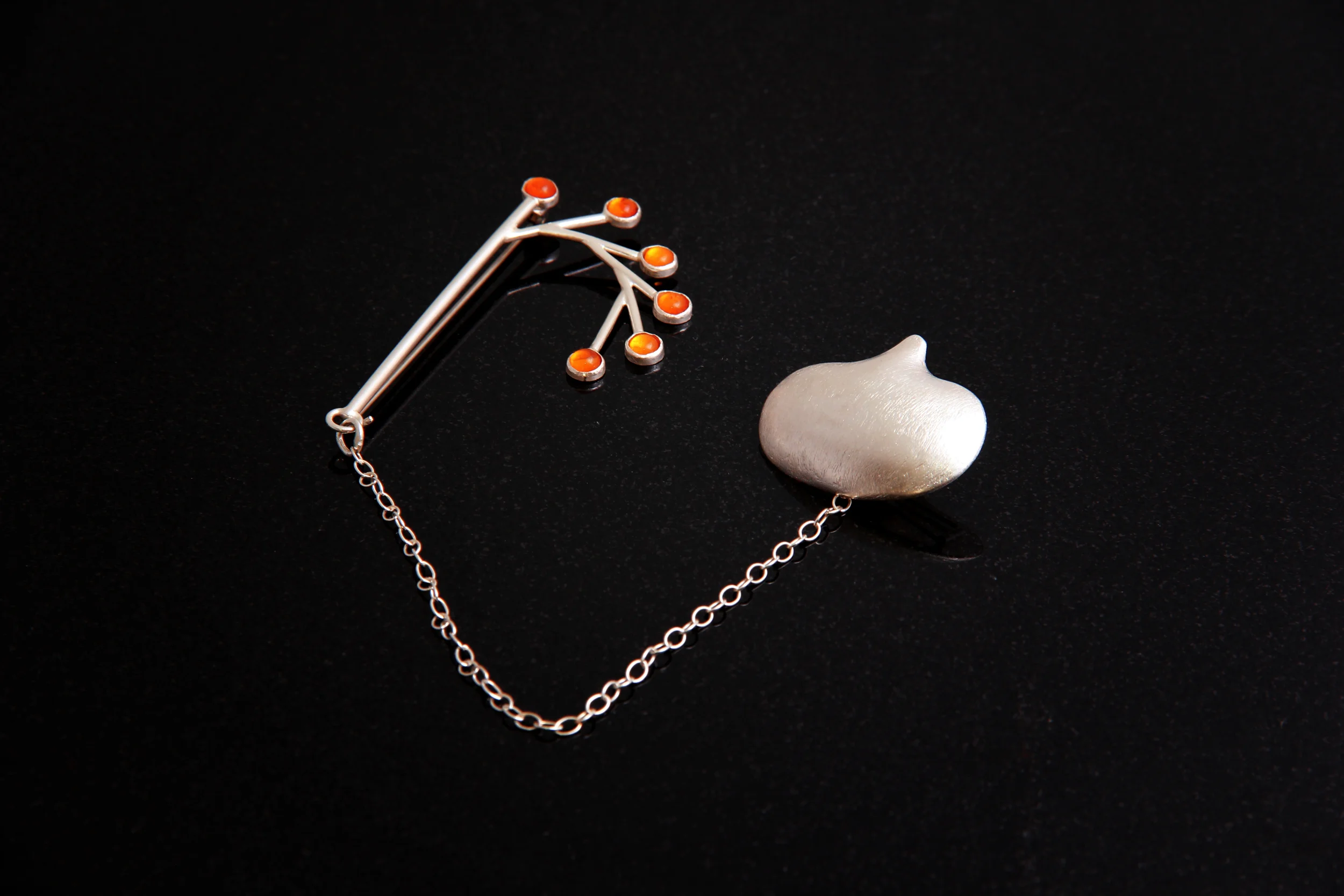 Plant Morphology - brooch one