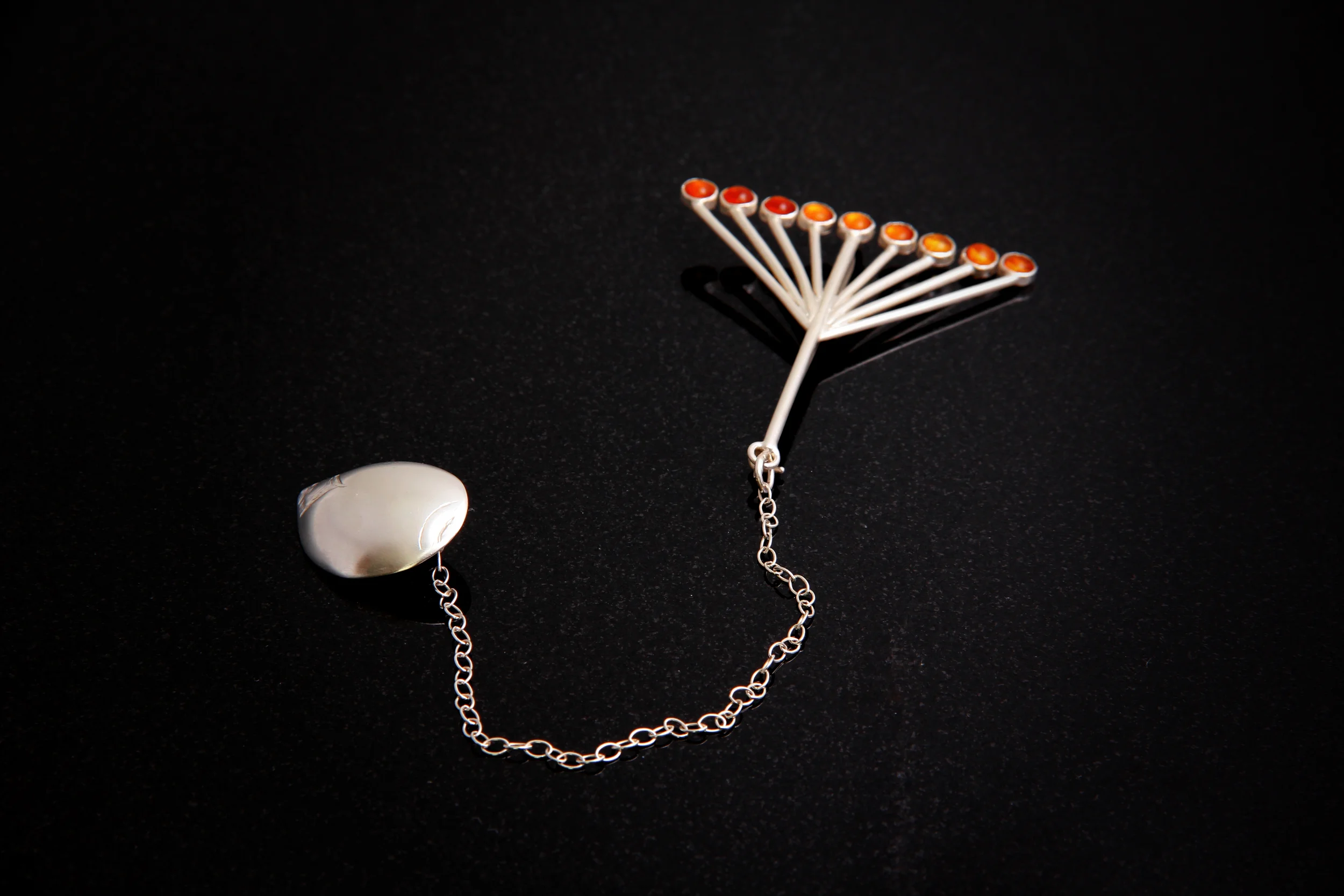 Plant Morphology - brooch two