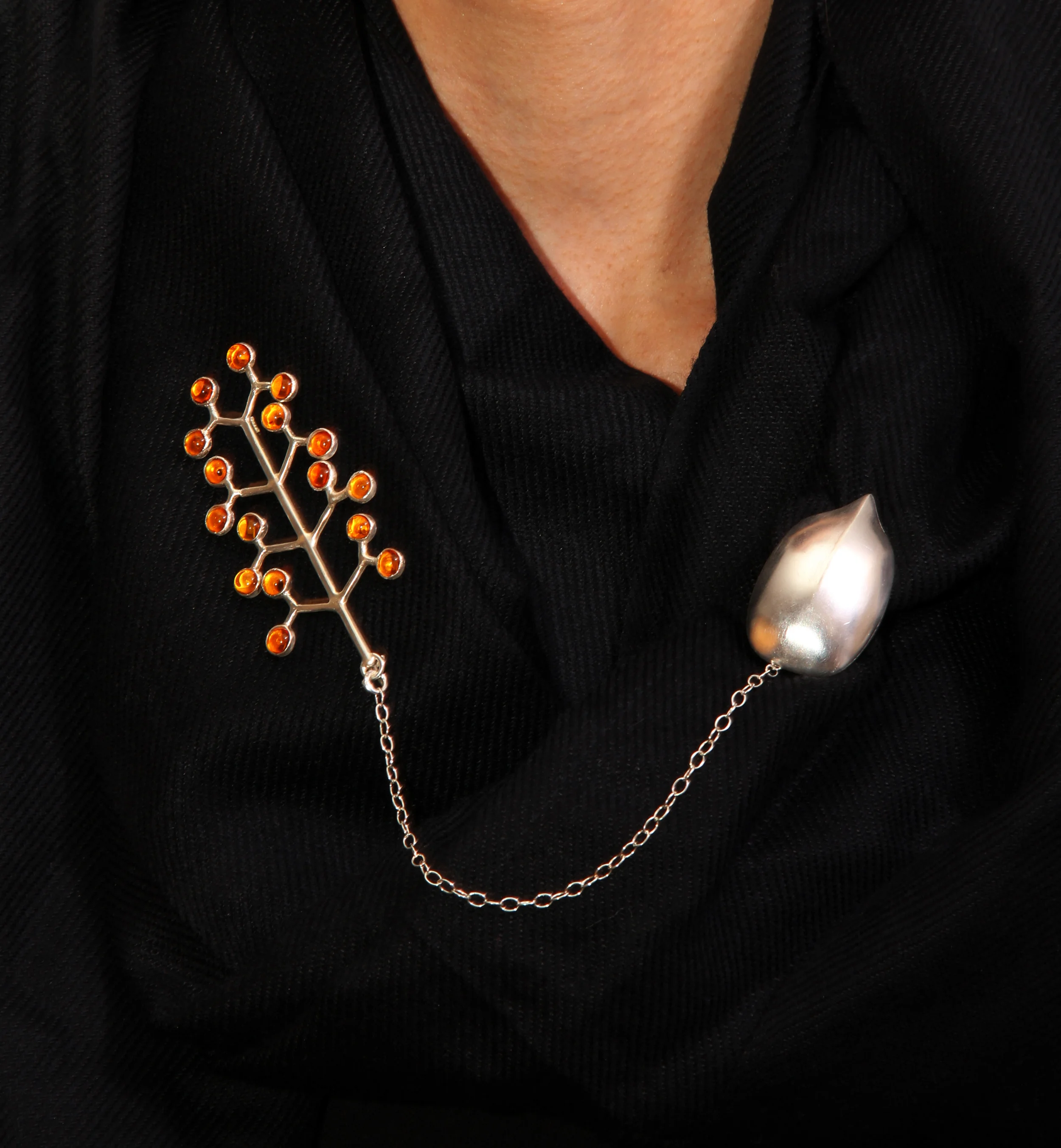 Plant Morphology - brooch three on the body 