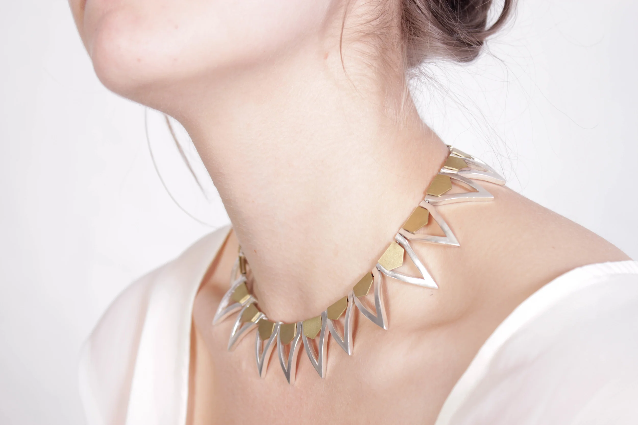 Silver and brass collar 