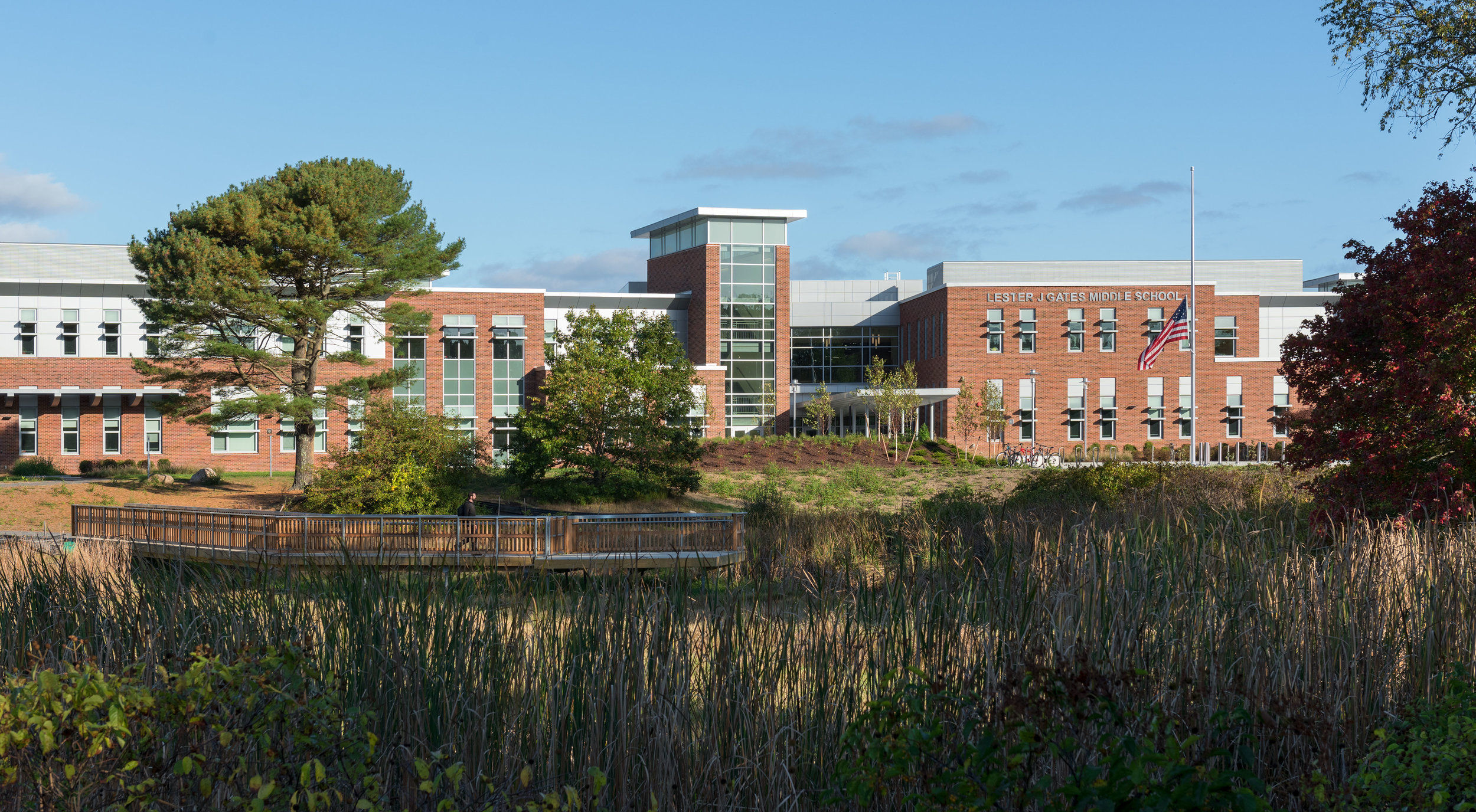 View-from-beyond-the-vernal-pool.jpg