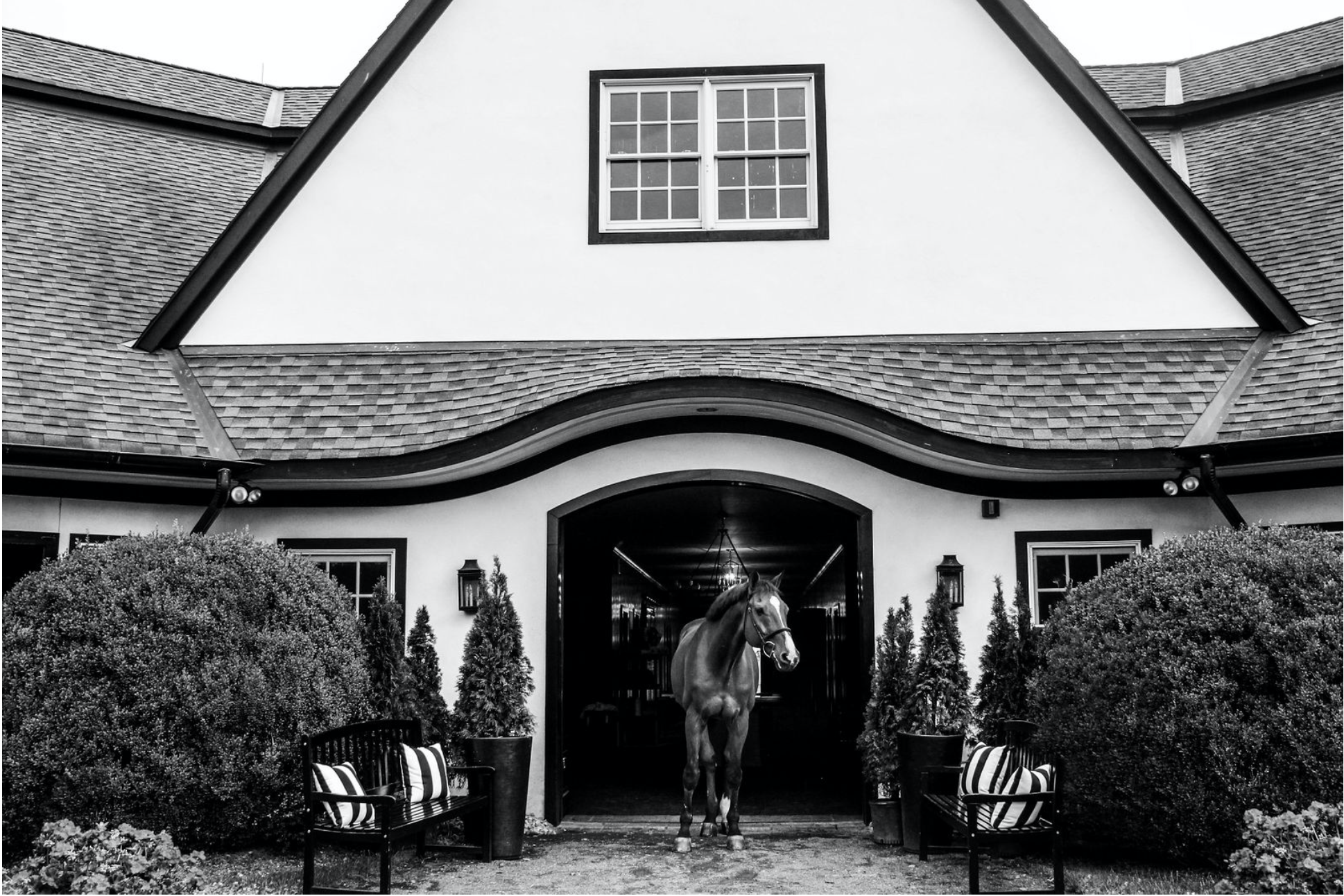 Screen Shot 2021-08-04 at 3.32.23 PM.png