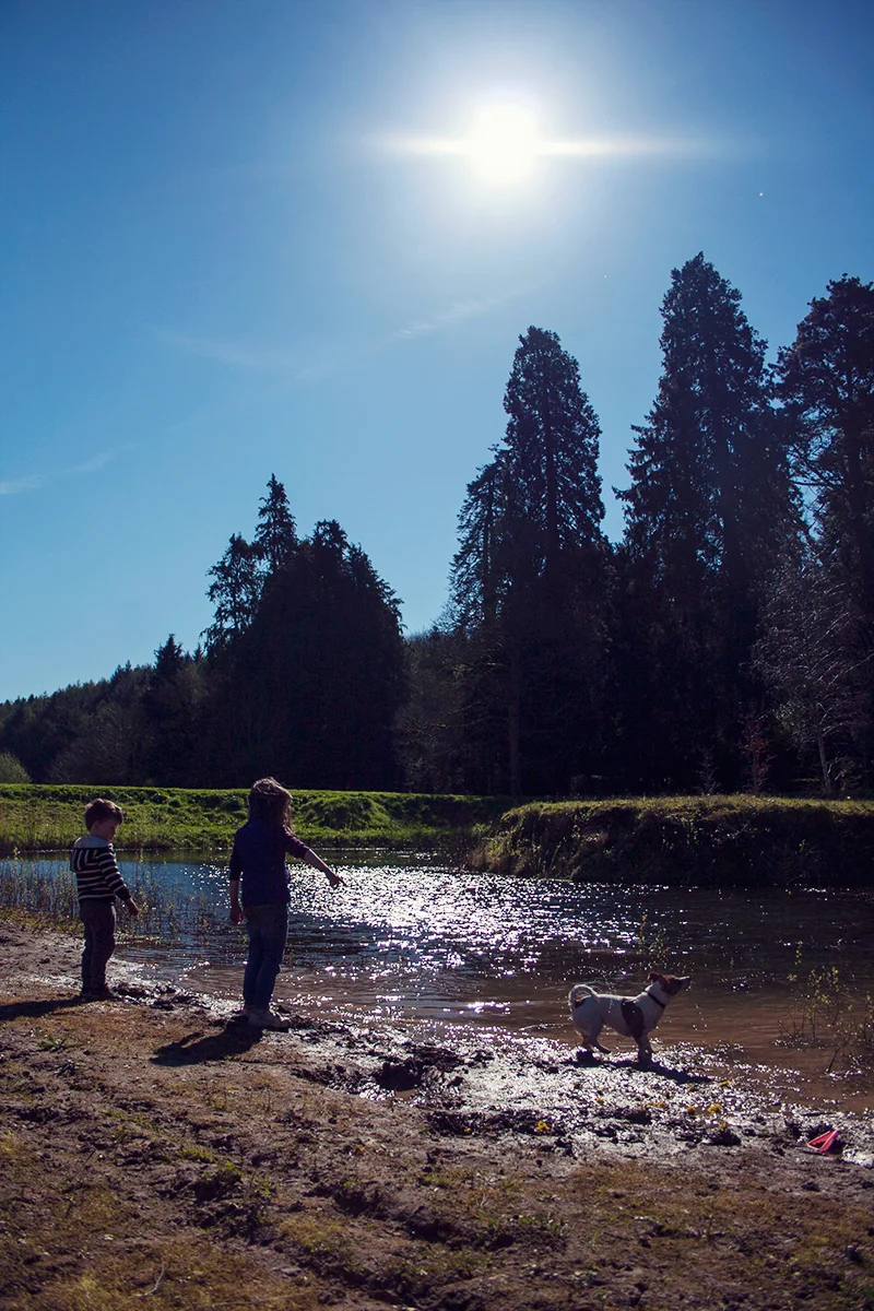kids-by-the-lake_MG_2602.jpg