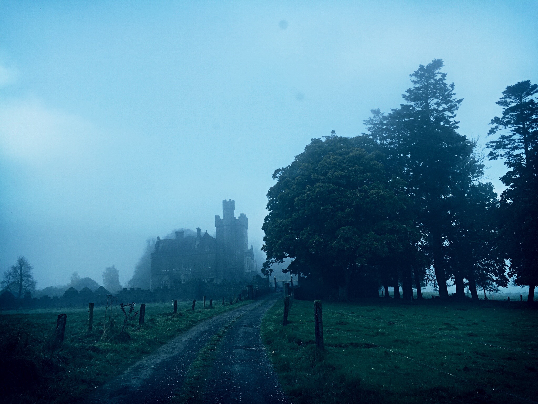 Castle in the Fog by Kojii Helnwein.jpg