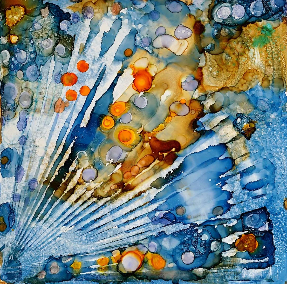 color014.jpg