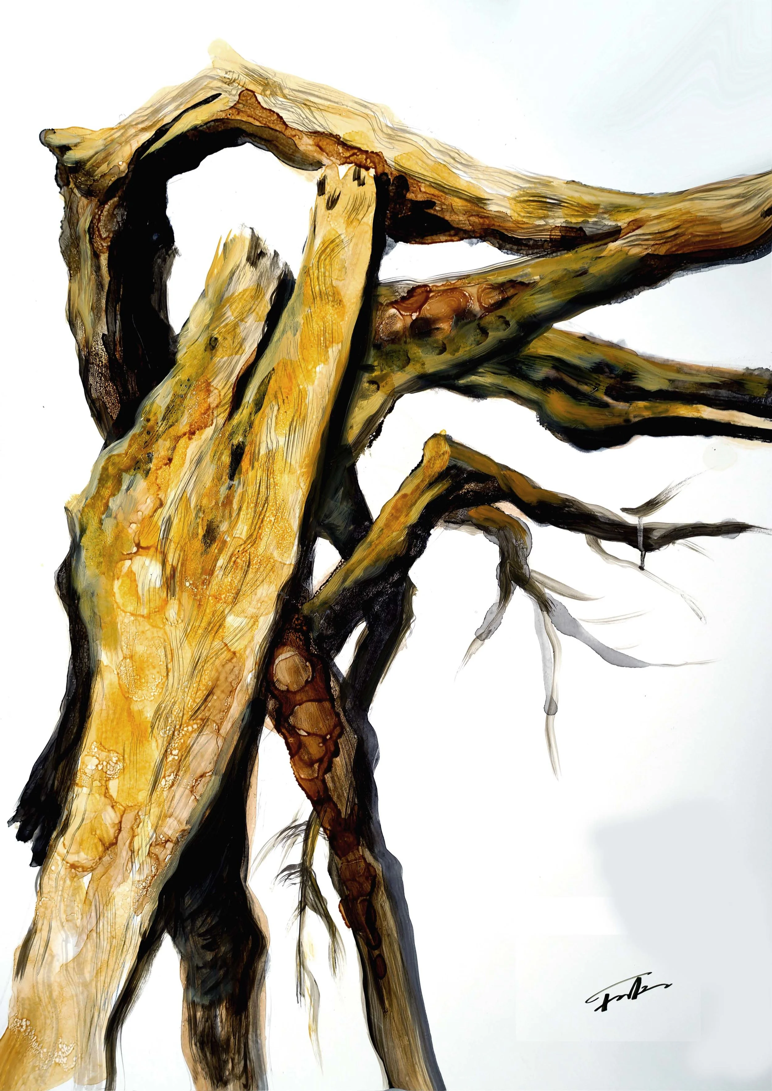wood04.jpg