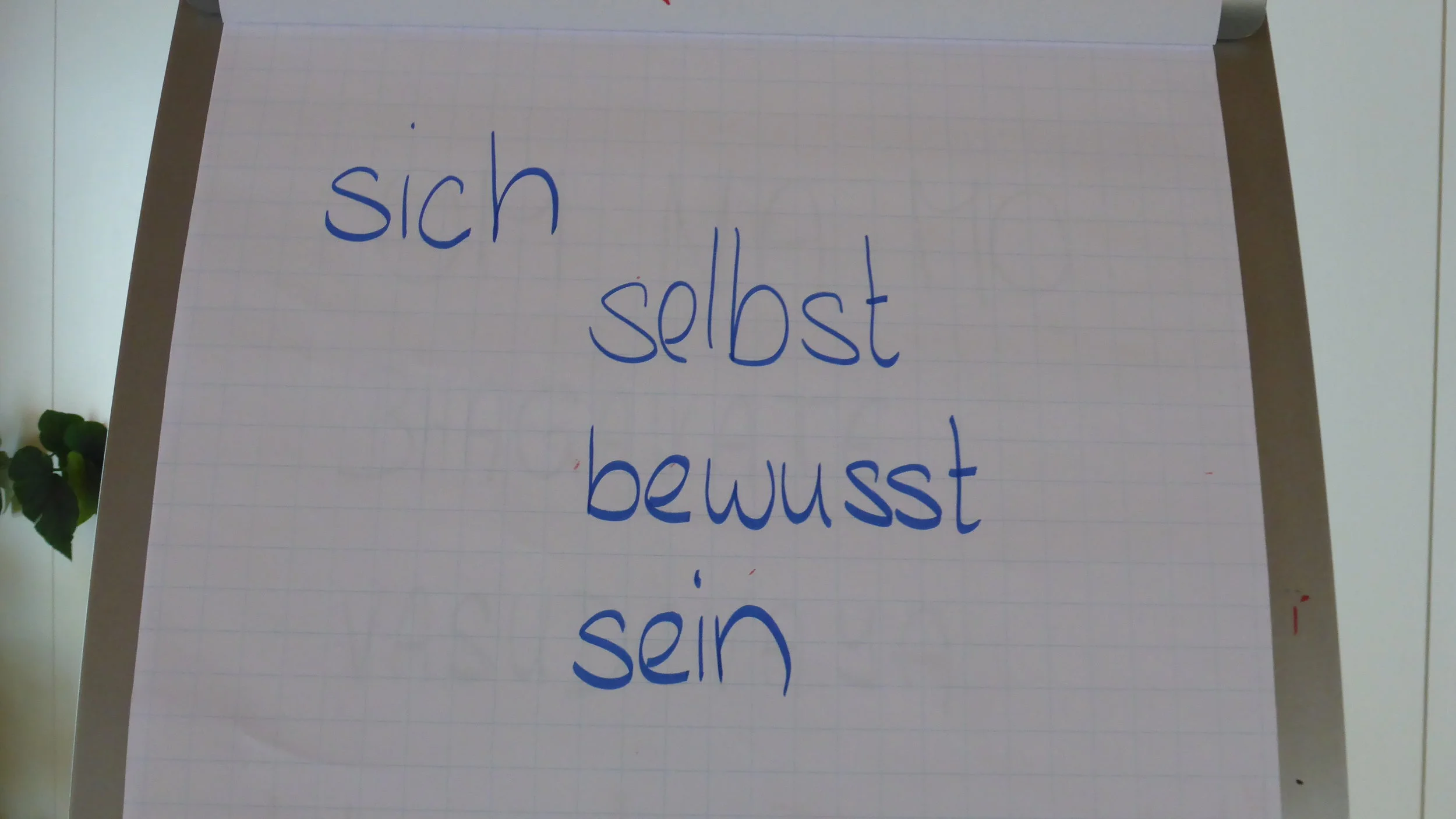 p1020501.jpg