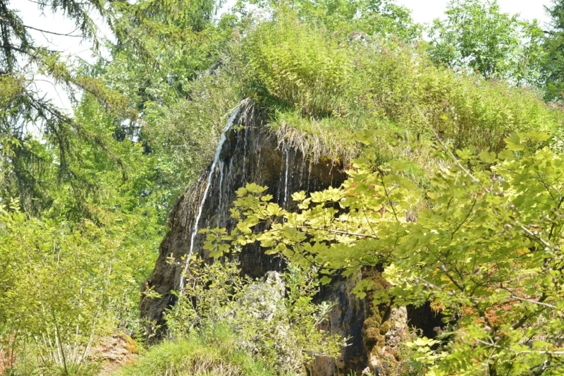 wsr_5709.jpg