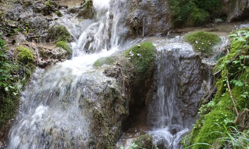 dsc08642.jpg