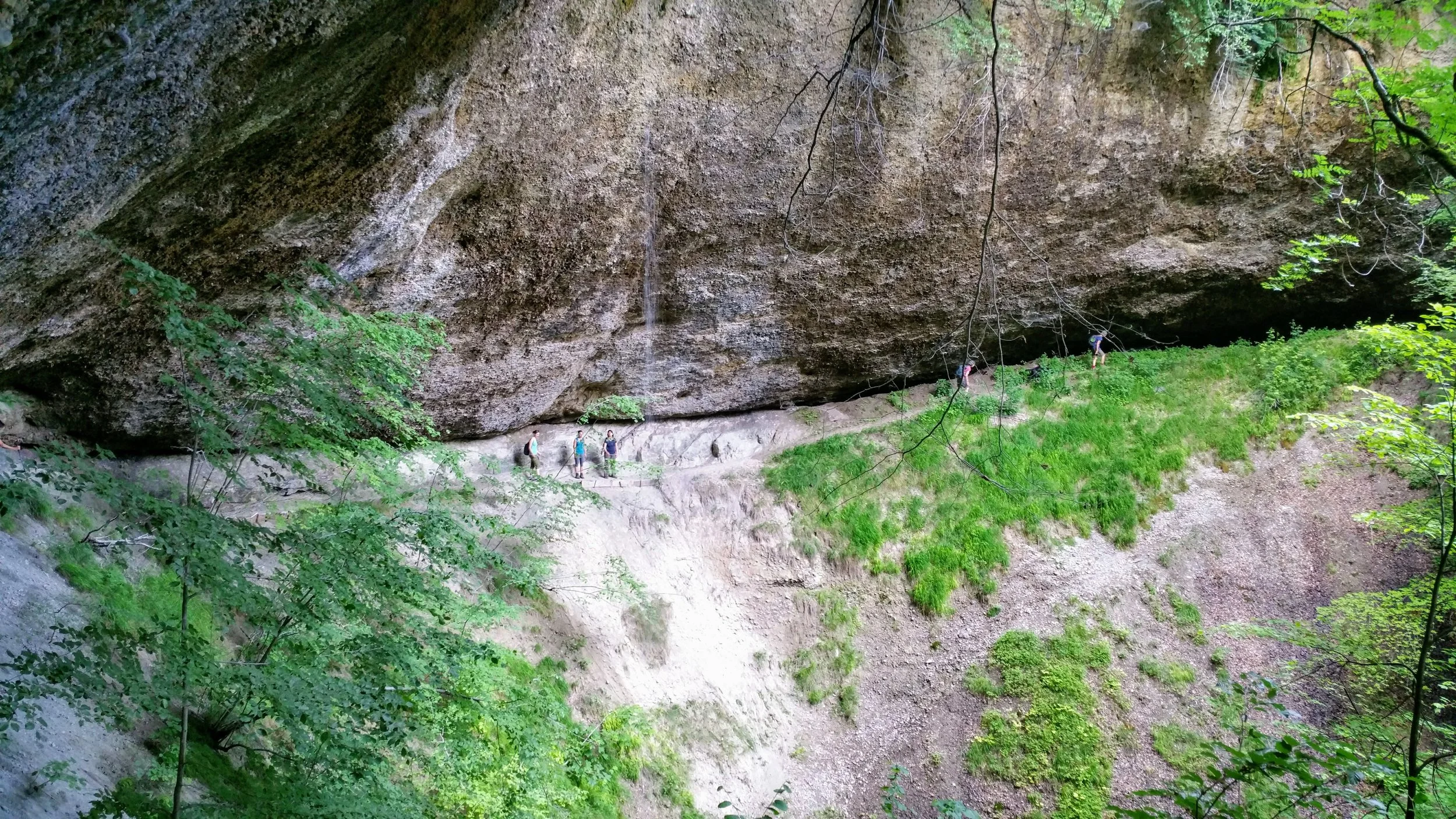 20180602_142514.jpg