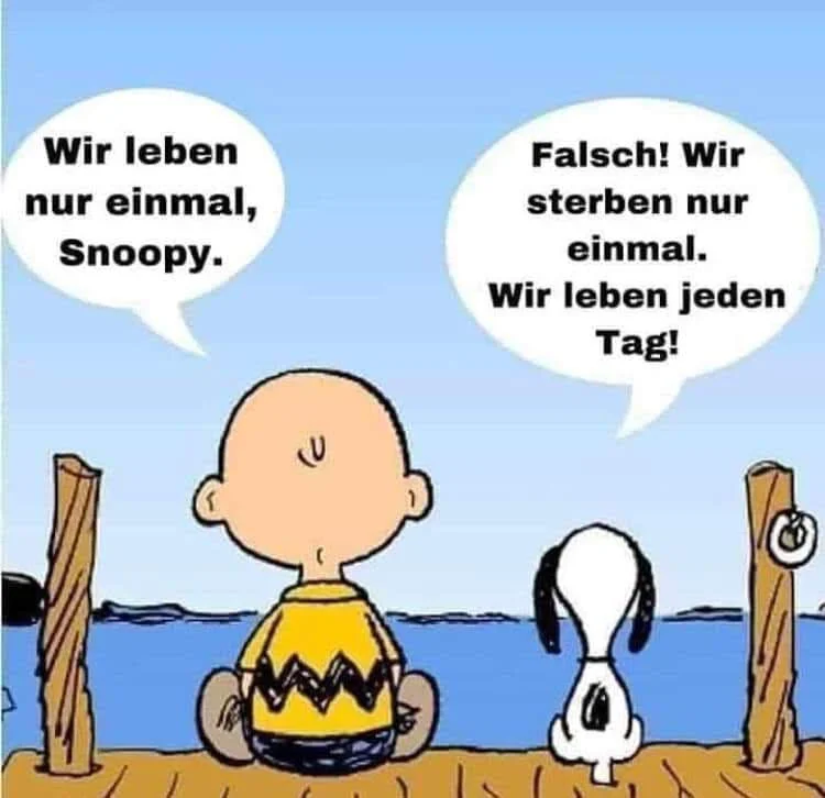 FB_IMG_1555919370861.jpg