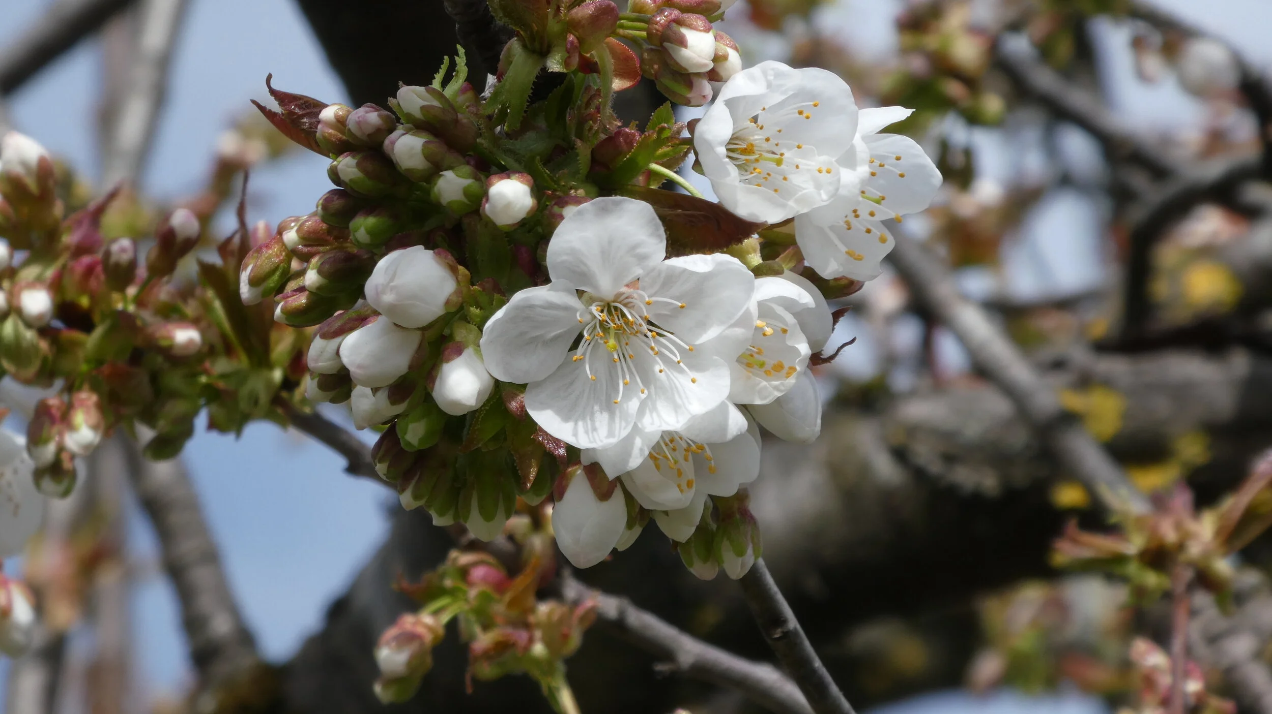Entdecke die verborgene Kraft in dir