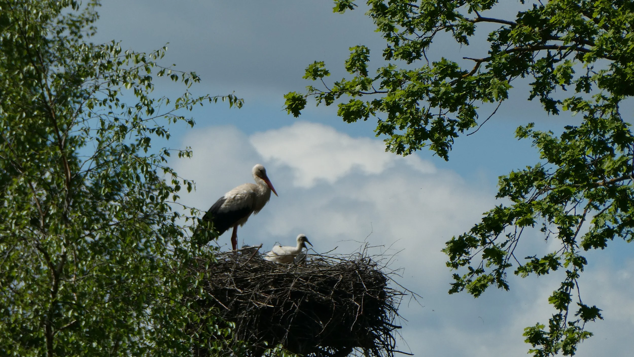 Yoga im Alltag leben