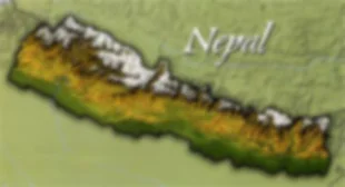 HEADER.jpg
