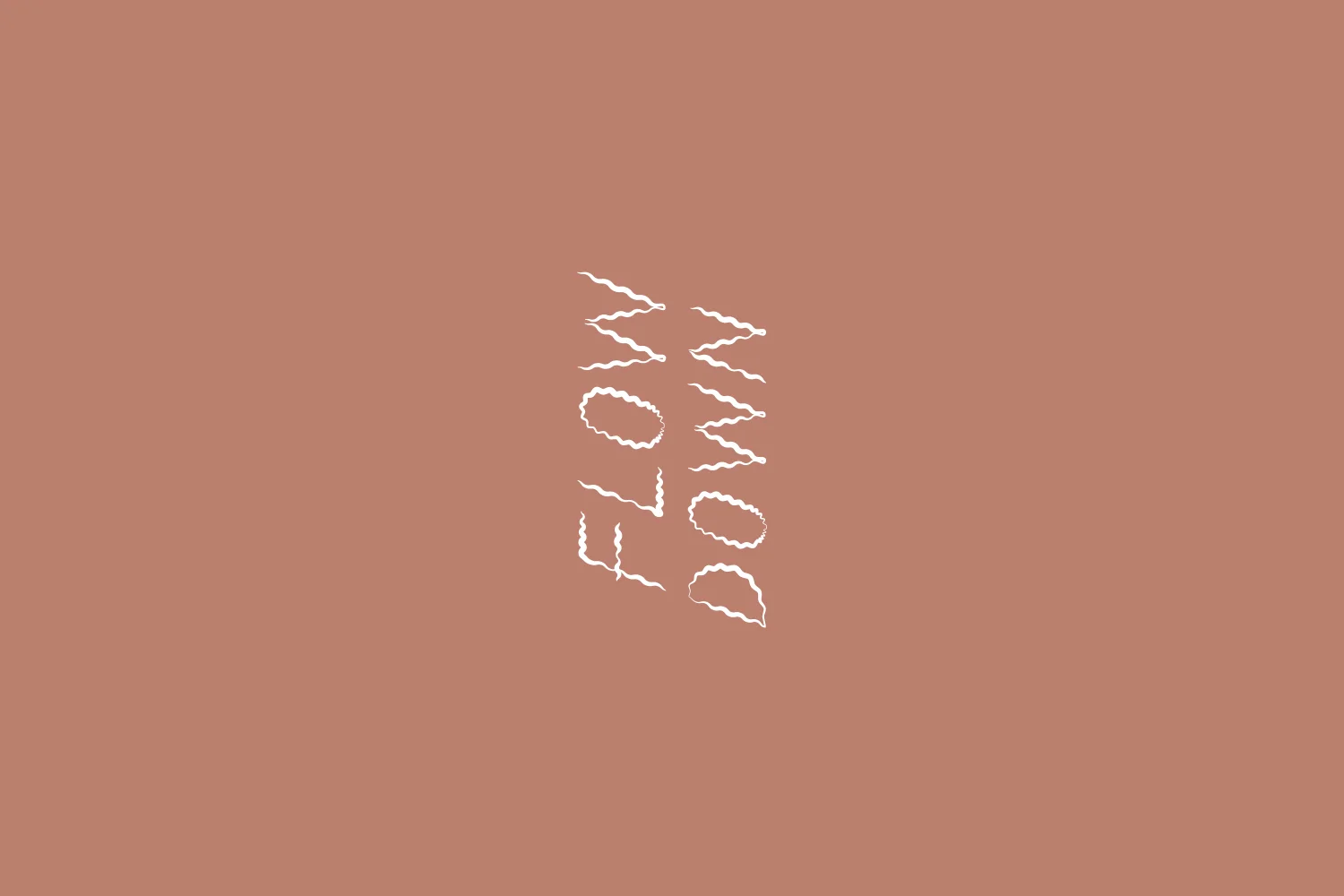 04.Becca_Allen_Flow_Down_Logo.jpg