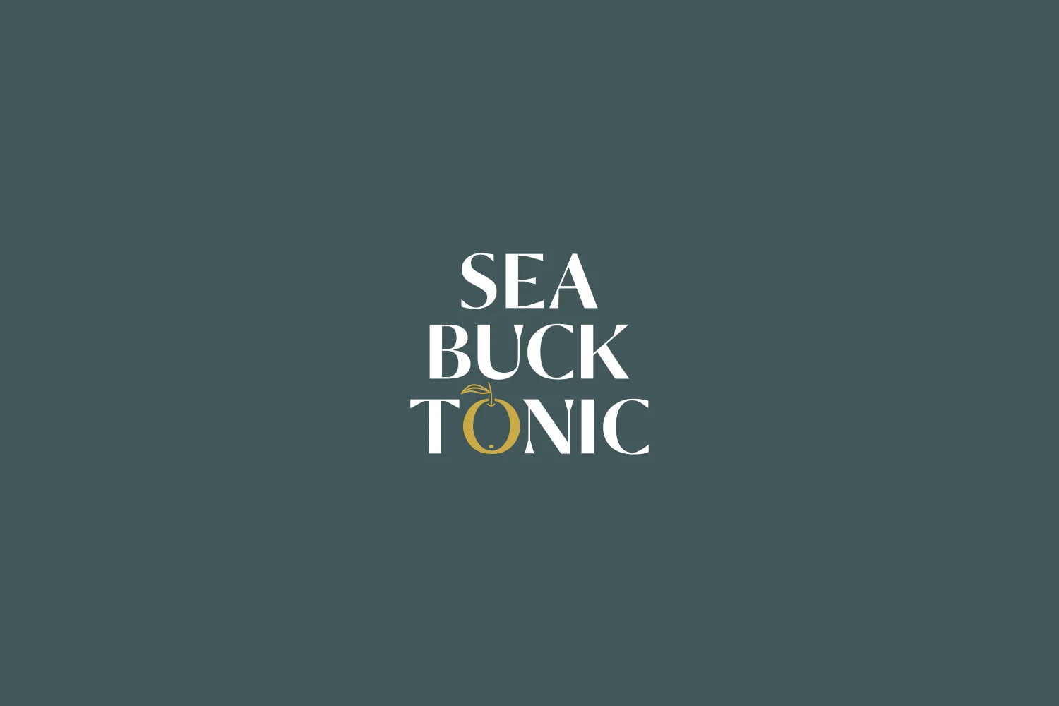 05.Becca_Allen_Sea_Buck_Tonic_Logo.jpg