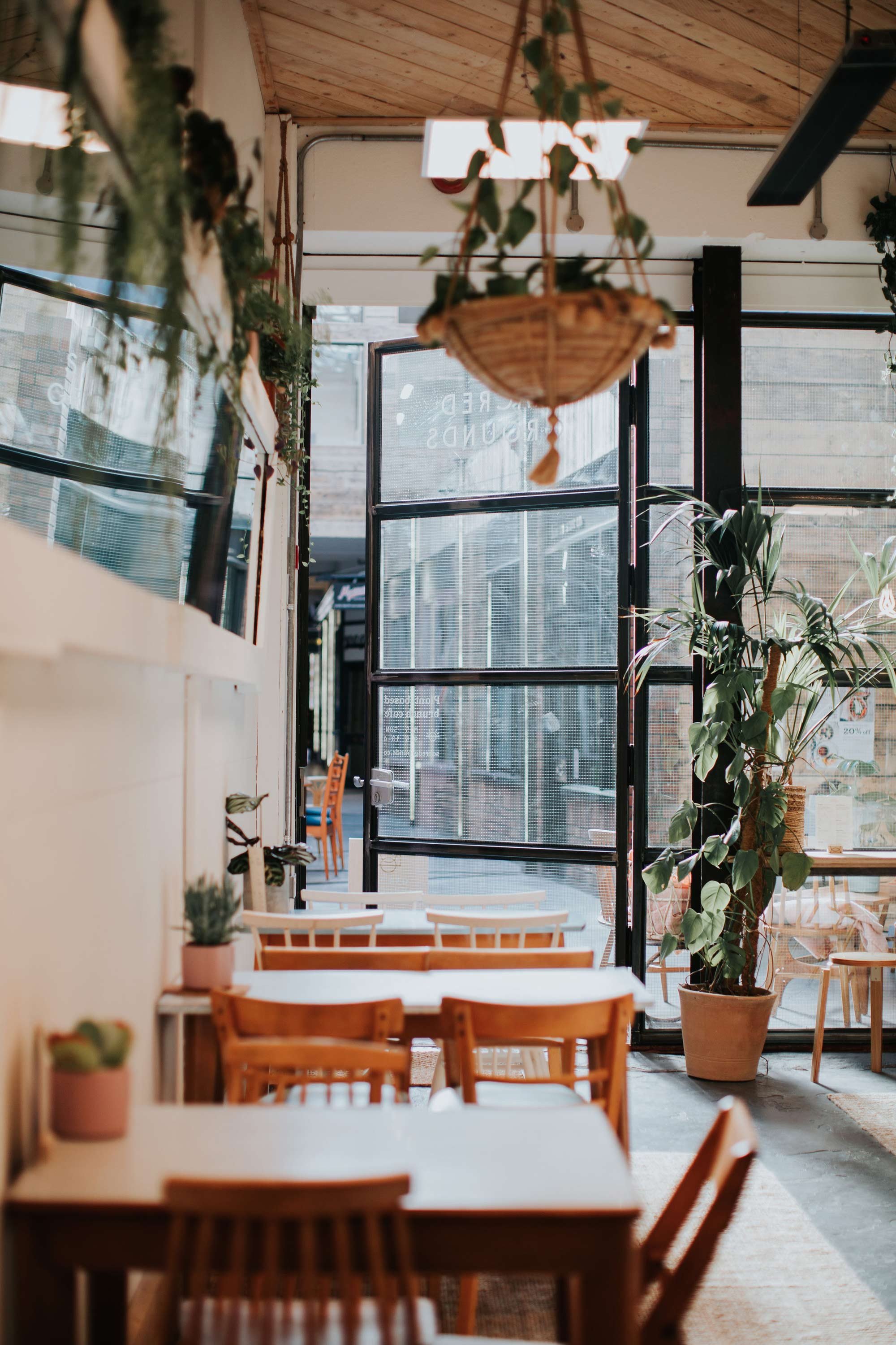 Becca_Allen_Sacred_Grounds_Cafe_interior_plants.jpg