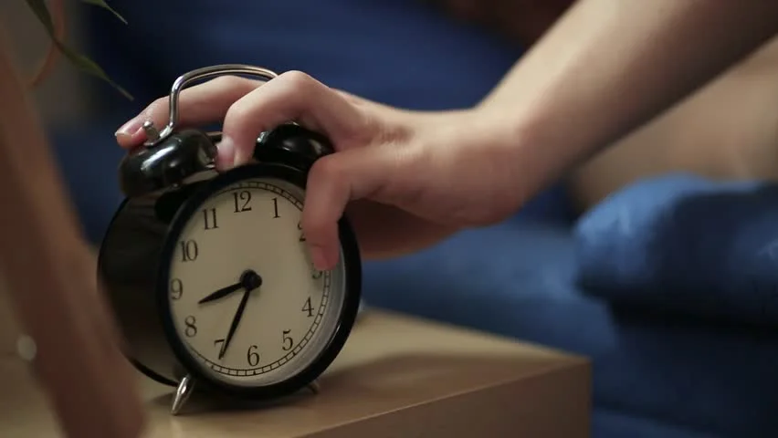 https://www.shutterstock.com/video/search/wake-startled