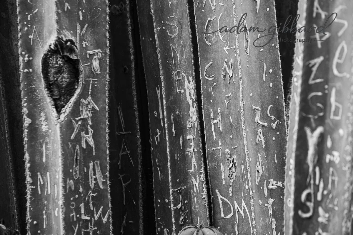 Close-up of a wooden surface covered with various carved initials and symbols, with some areas showing damage or holes.