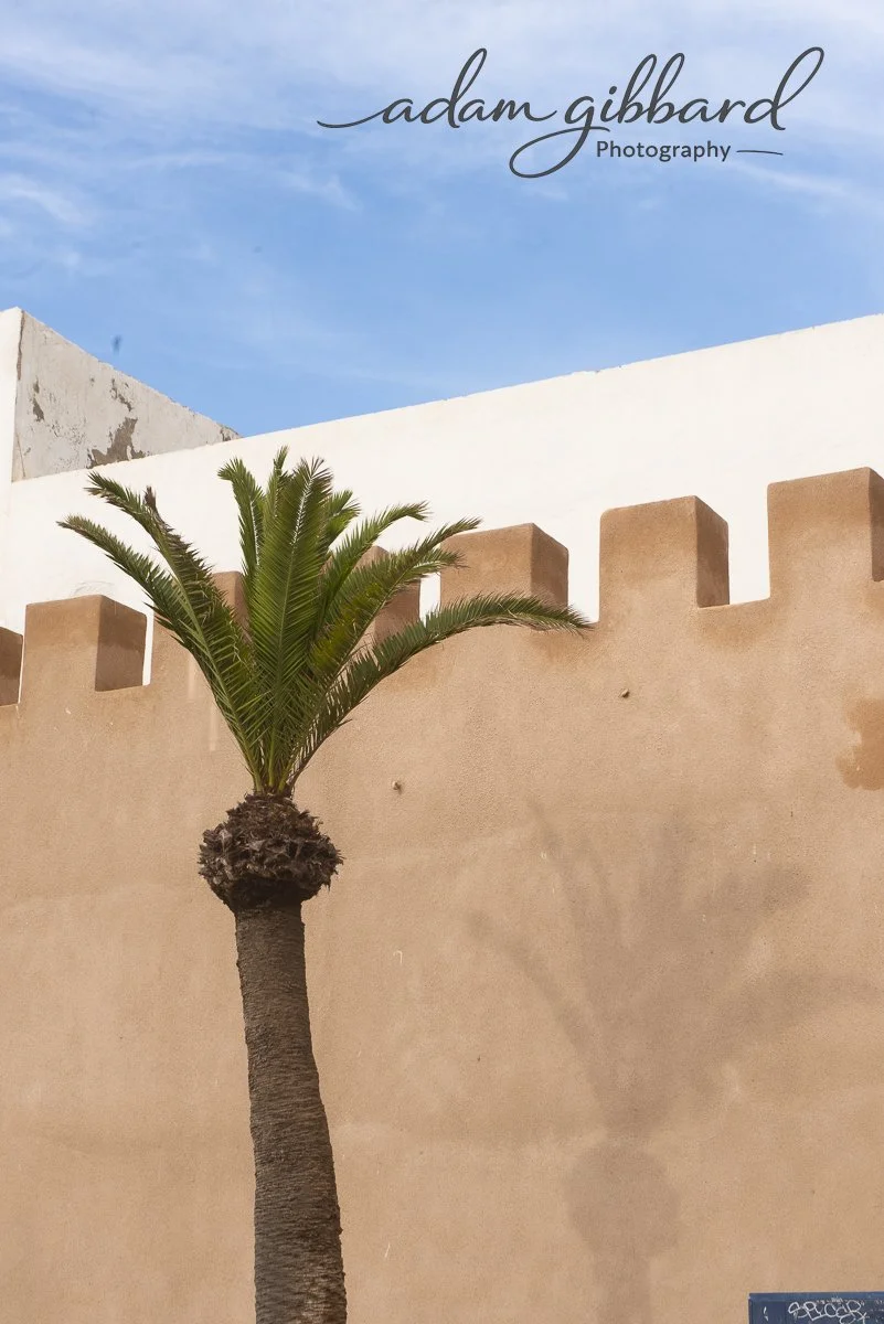 A palm tree in front of a beige wall with crenellations, under a blue sky with some clouds.