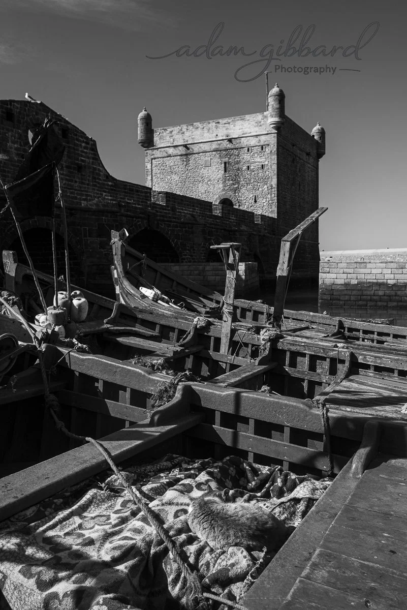 A black and white photograph of a harbor with abandoned boats and a large stone fortress or castle in the background, with a seagull perched on the castle wall.