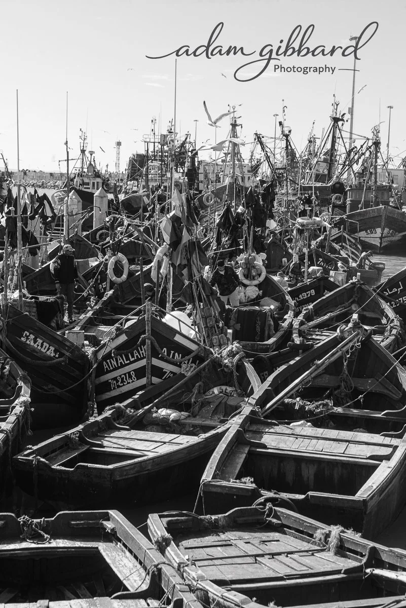 A harbor filled with numerous boats docked together, with seagulls flying overhead, and the logo 'adam gibbard Photography' in the top right corner.