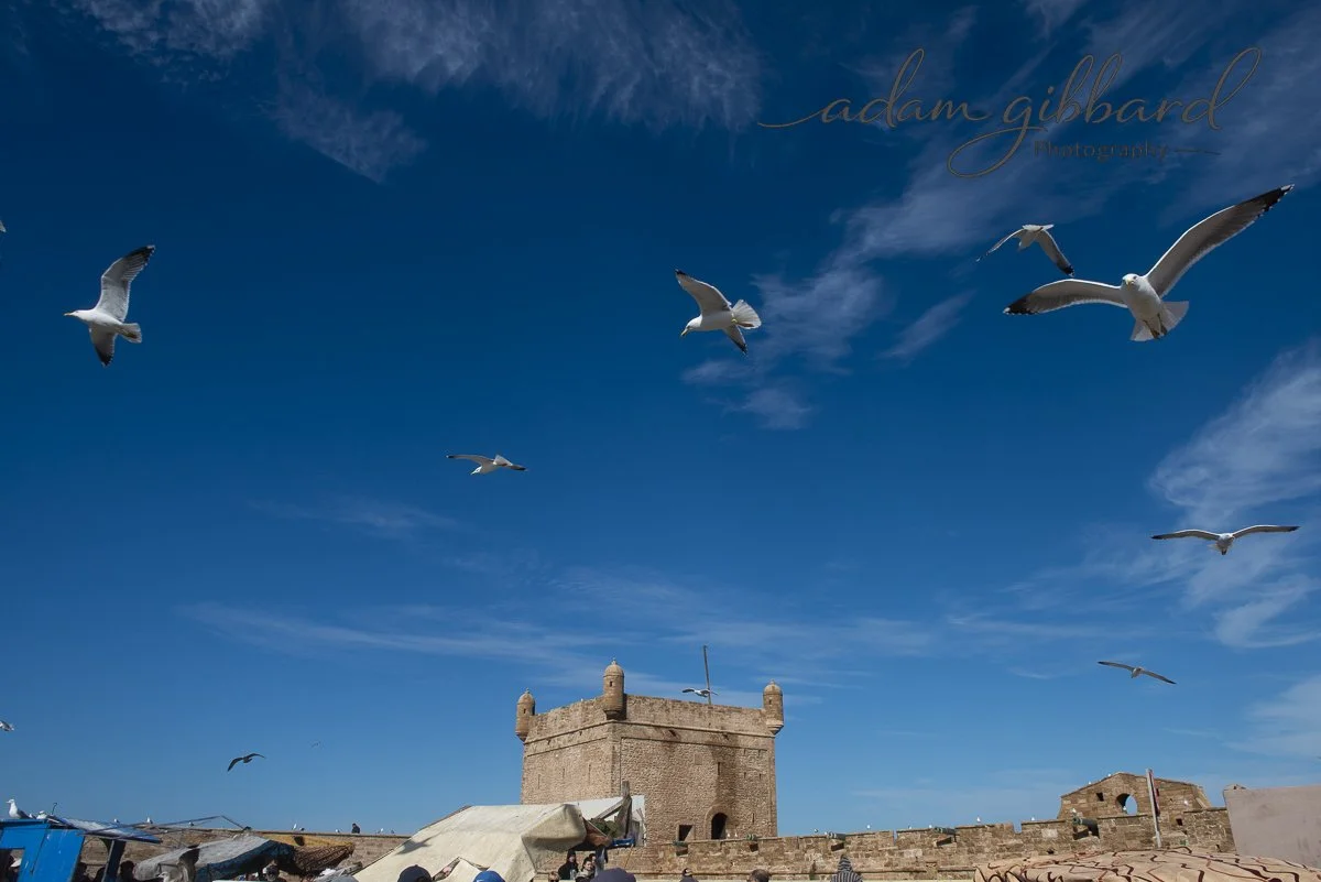 Seagulls flying over a historic stone fortress with tents and market stalls in the foreground, blue sky with some clouds in the background.