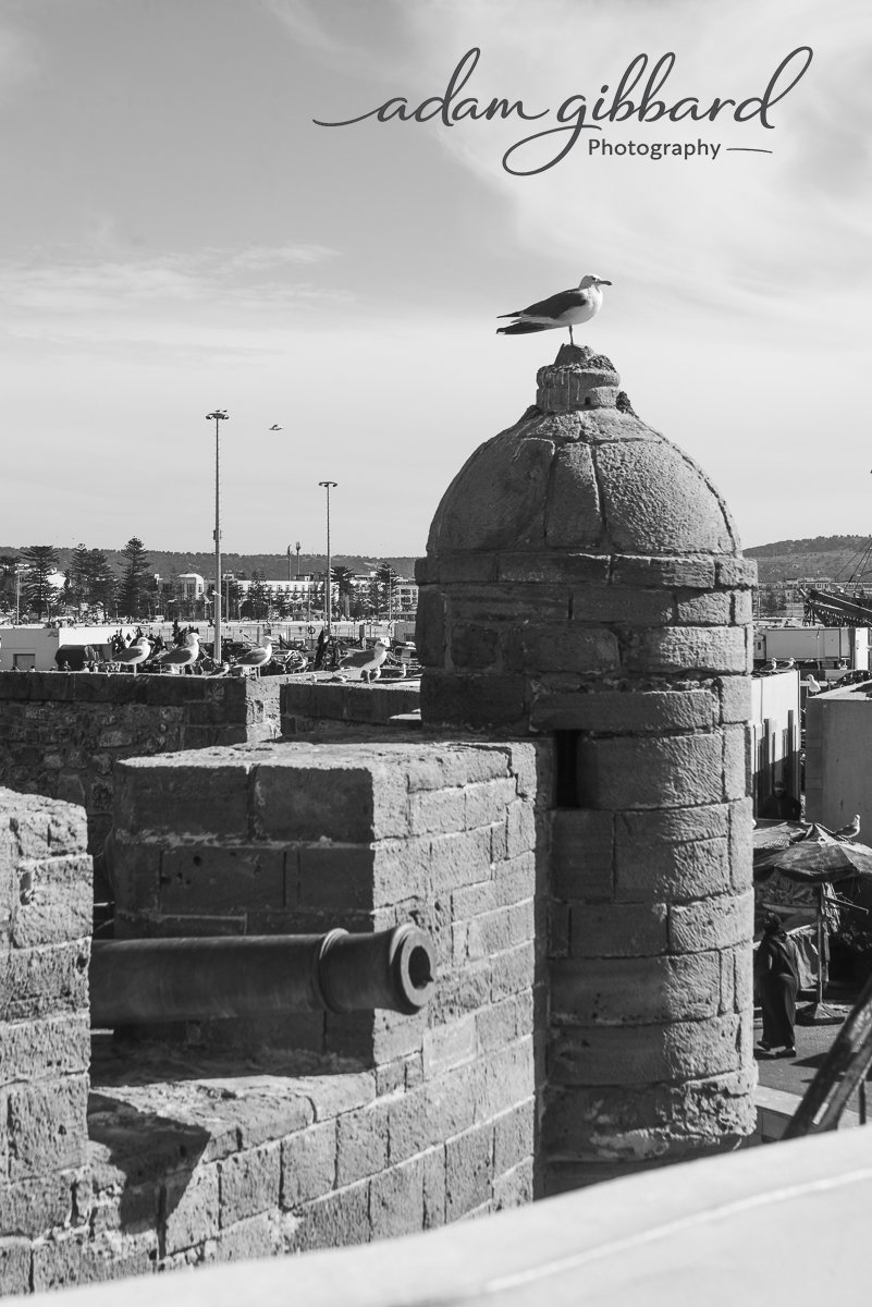 A black and white photograph showing a seagull perched on top of a stone chimney or turret in a coastal town. In the background, there are boats and buildings, with some seagulls on a low wall and a clear sky overhead.