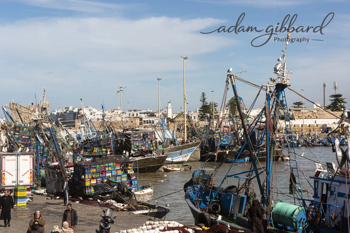 A busy fishing harbor with multiple fishing boats docked, some carrying colorful crates, and people walking along the dock with seagulls flying overhead.