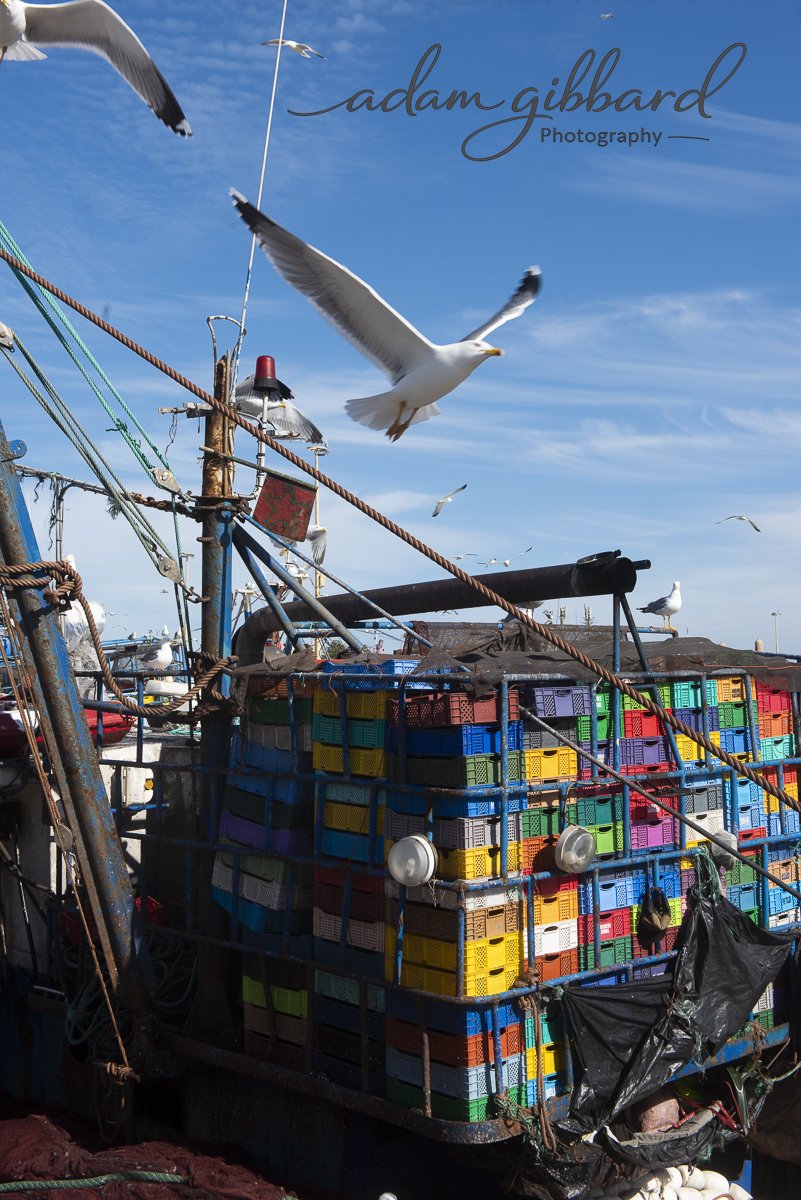 Seagulls flying over a boat with colorful crates stacked on it, docked at a harbor under a blue sky with scattered clouds.