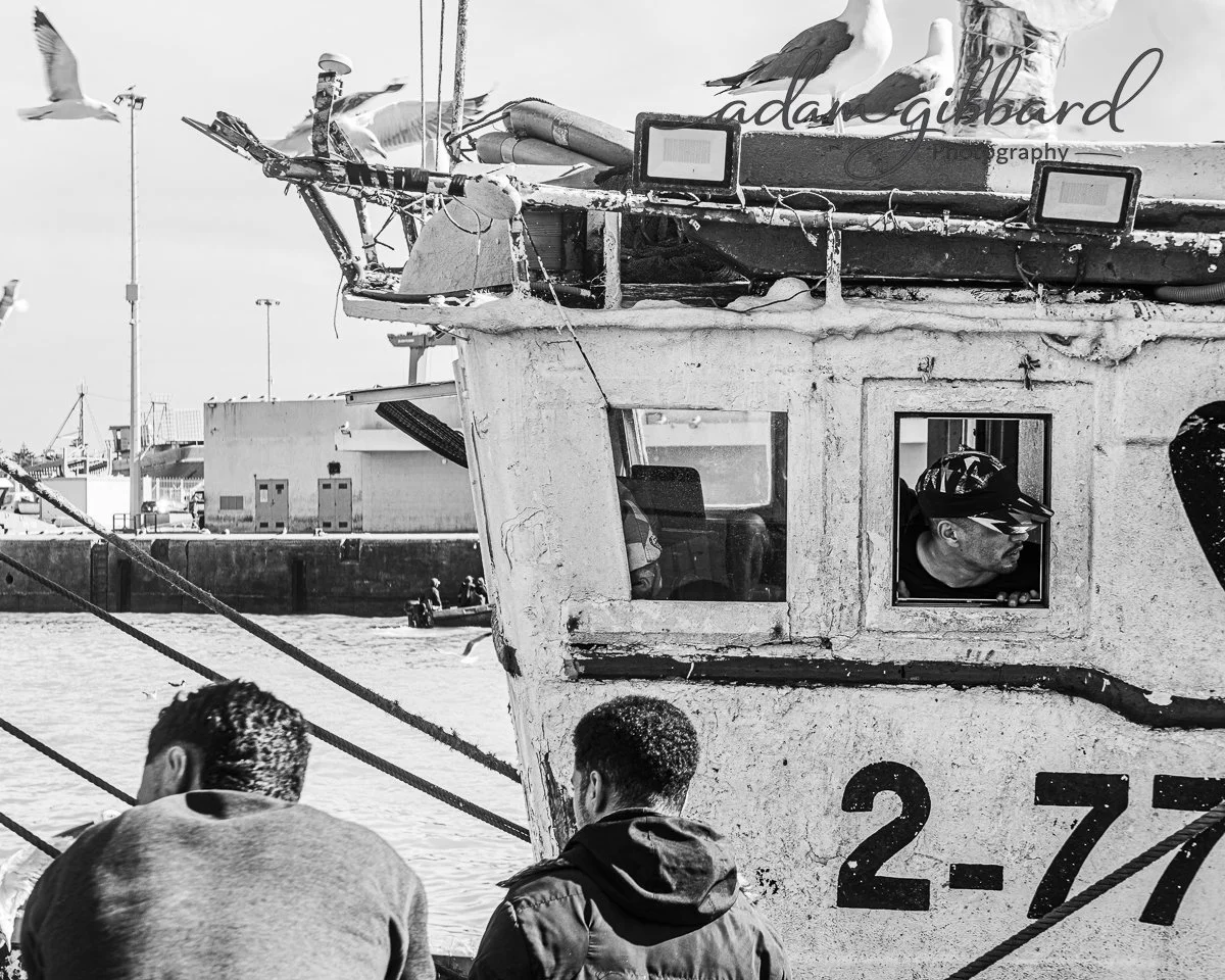 Two people are sitting on a dock near a boat with seagulls and a captain visible inside the boat's cabin. The boat appears worn and is docked at a marina, with other boats and structures in the background.