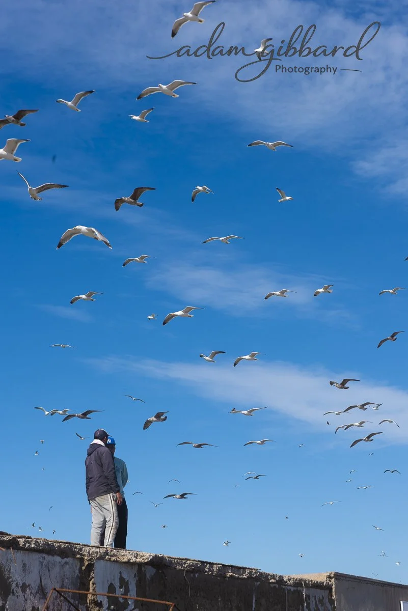 Two people standing on a weathered concrete platform, looking at a flock of seagulls flying in a blue sky with some clouds.