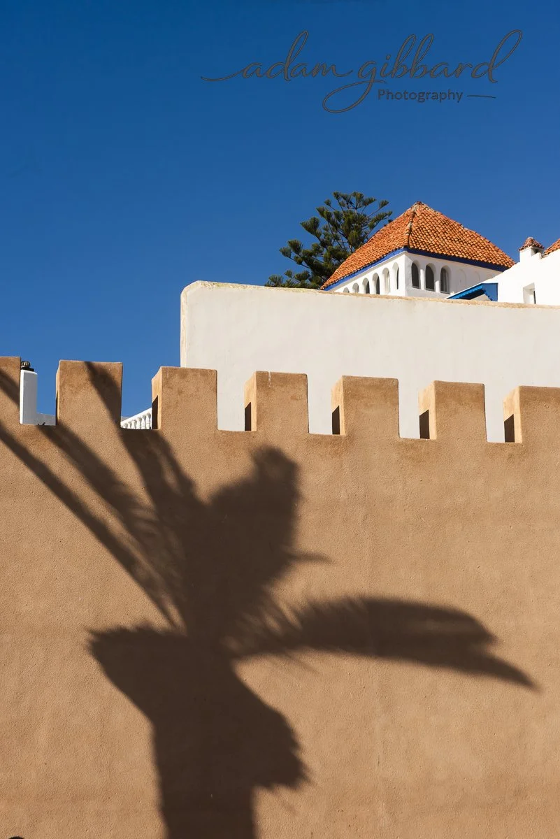 Shadows of a plant on a beige wall with a clear blue sky and a white building with a red-tiled roof in the background.