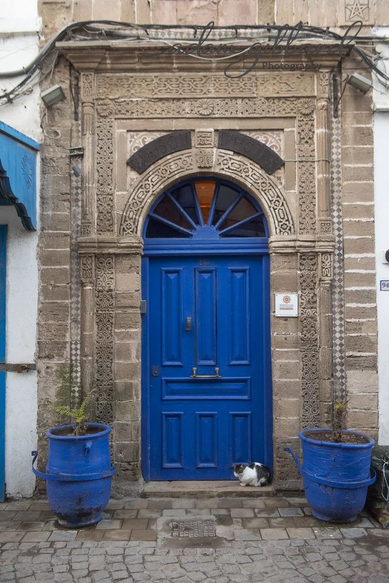 A blue wooden door framed by ornate stone arch and brickwork, with two large blue planters with small plants on each side, and a black and white cat sitting at the base of the door.