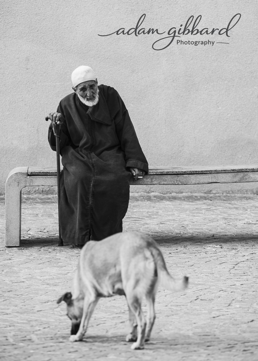 An elderly man with a white beard and a white cap sitting on a bench, looking at a dog sniffing the ground in front of him, with a plain wall in the background.