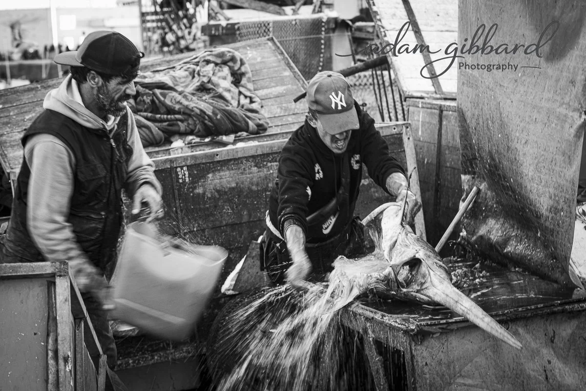 Two men working with a large fish, possibly a marlin, in a fish cleaning station. One man is holding the fish steady while the other is pouring water over it. The man in the center is wearing a New York Yankees cap and a black hoodie. The man on the 