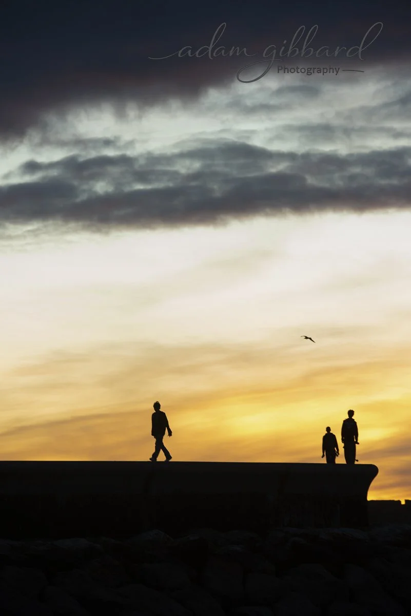 Silhouettes of three people walking on a ledge against a sunset sky with clouds and a flying bird.