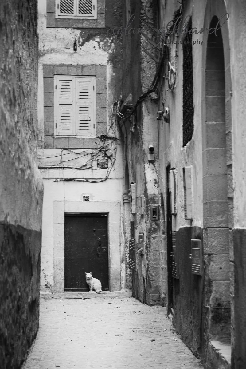 Narrow alleyway with old stone buildings on either side, electrical wires running along the walls, a door at the end with a cat sitting in front of it, black and white photograph.