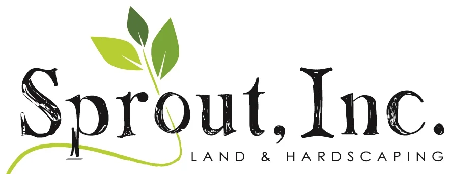 Letterhead_LogoAndAddress.jpg