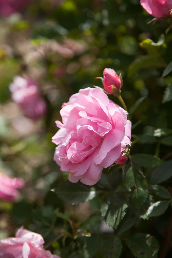 Welcome to our new site!