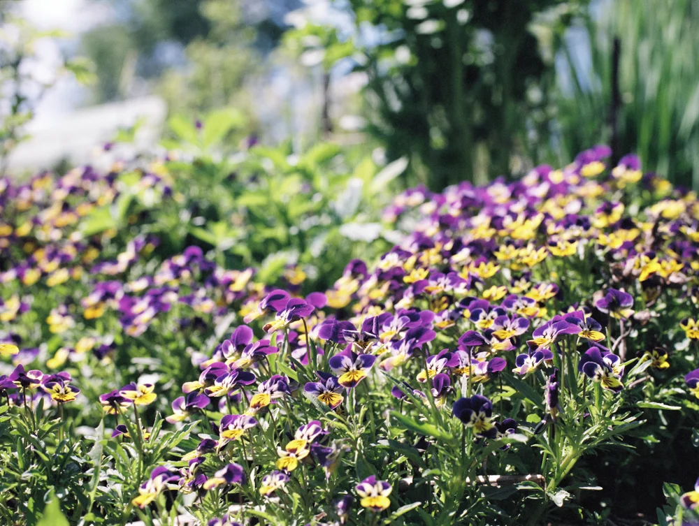 4th Annual Art in the Garden Event