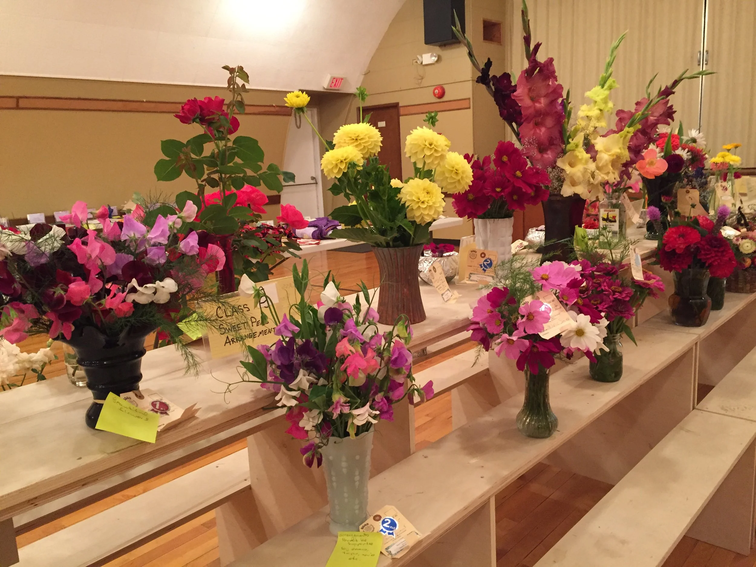 Horticultural Exhibits for the Fair