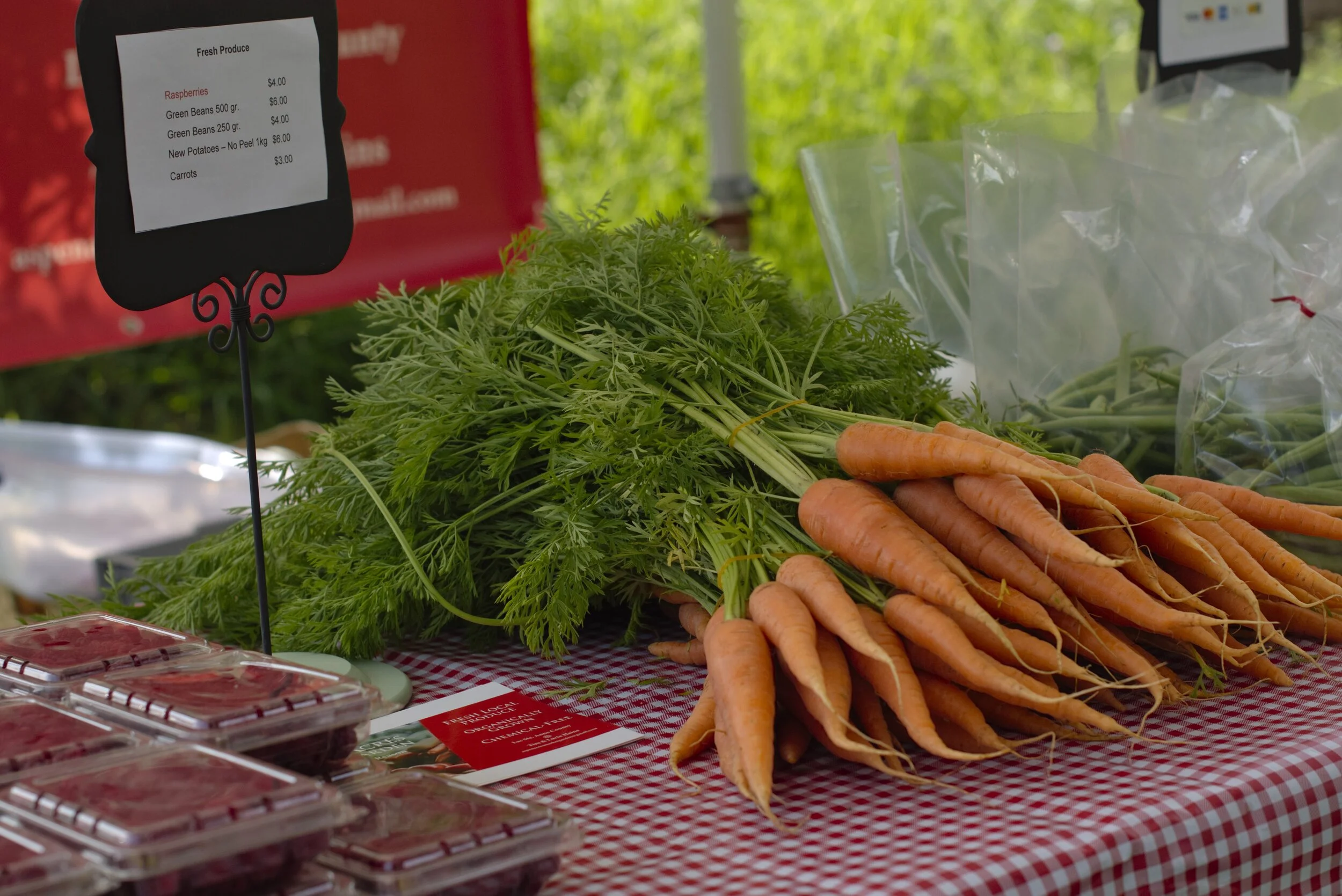 Rural Roots Farmer Showcase. 2019, Pegg Garden. W.Tobitt (5).jpeg