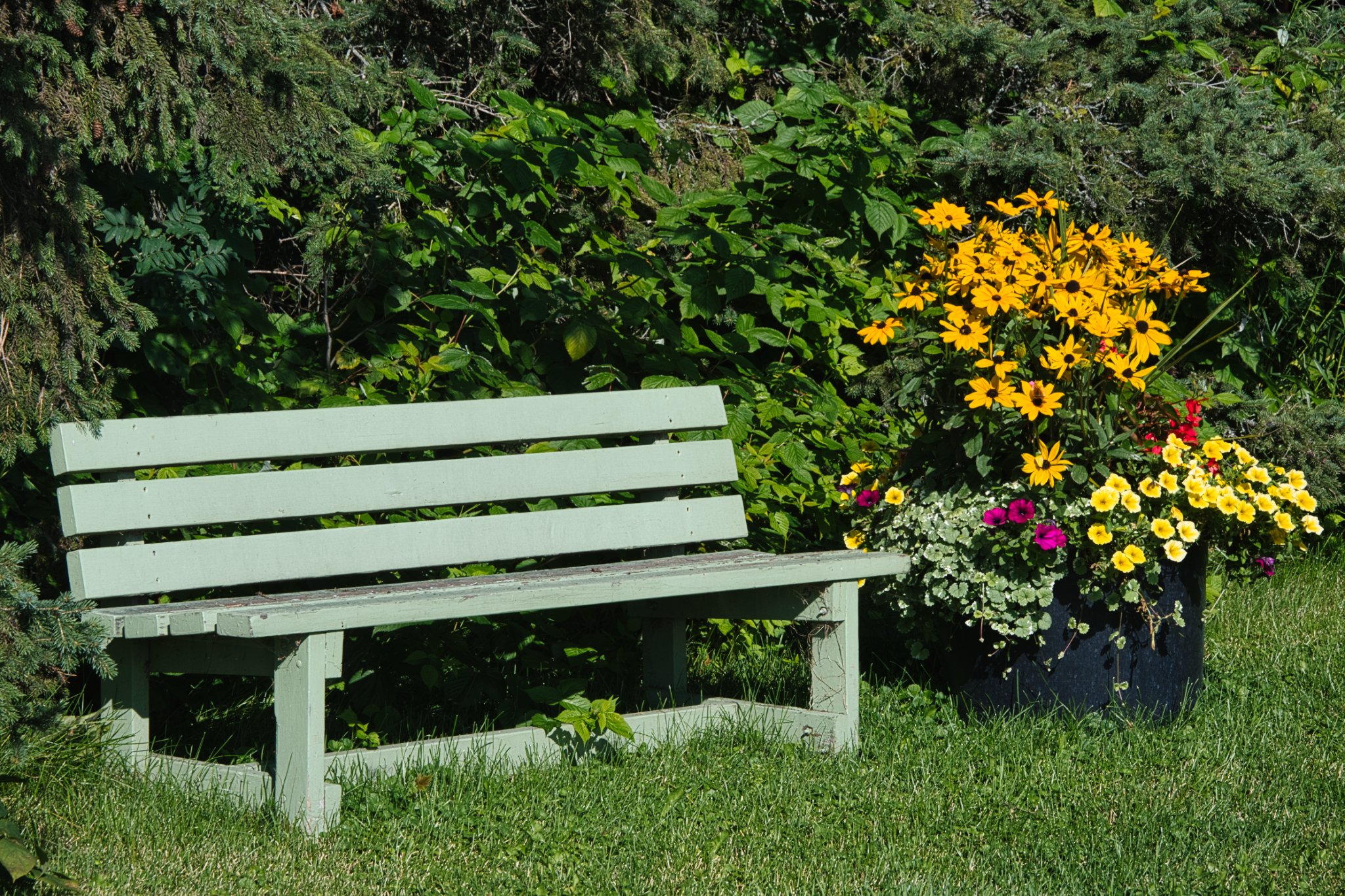 Bench at George Pegg.jpg
