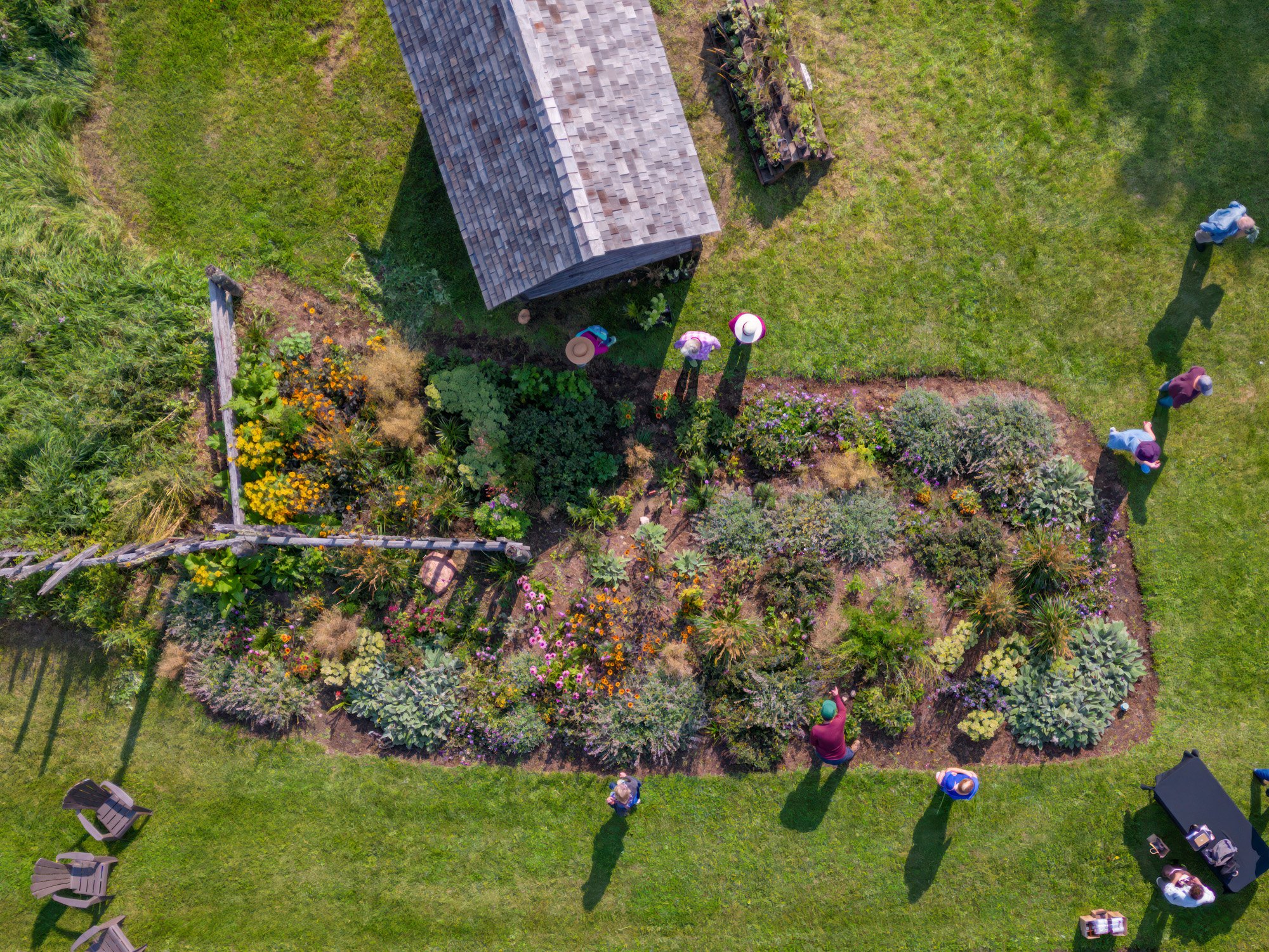 Pegg NP Bed. Rural Roots Farmer Showcase George Pegg Botanic Garden Steve Ricketts. (7 of 16).jpg