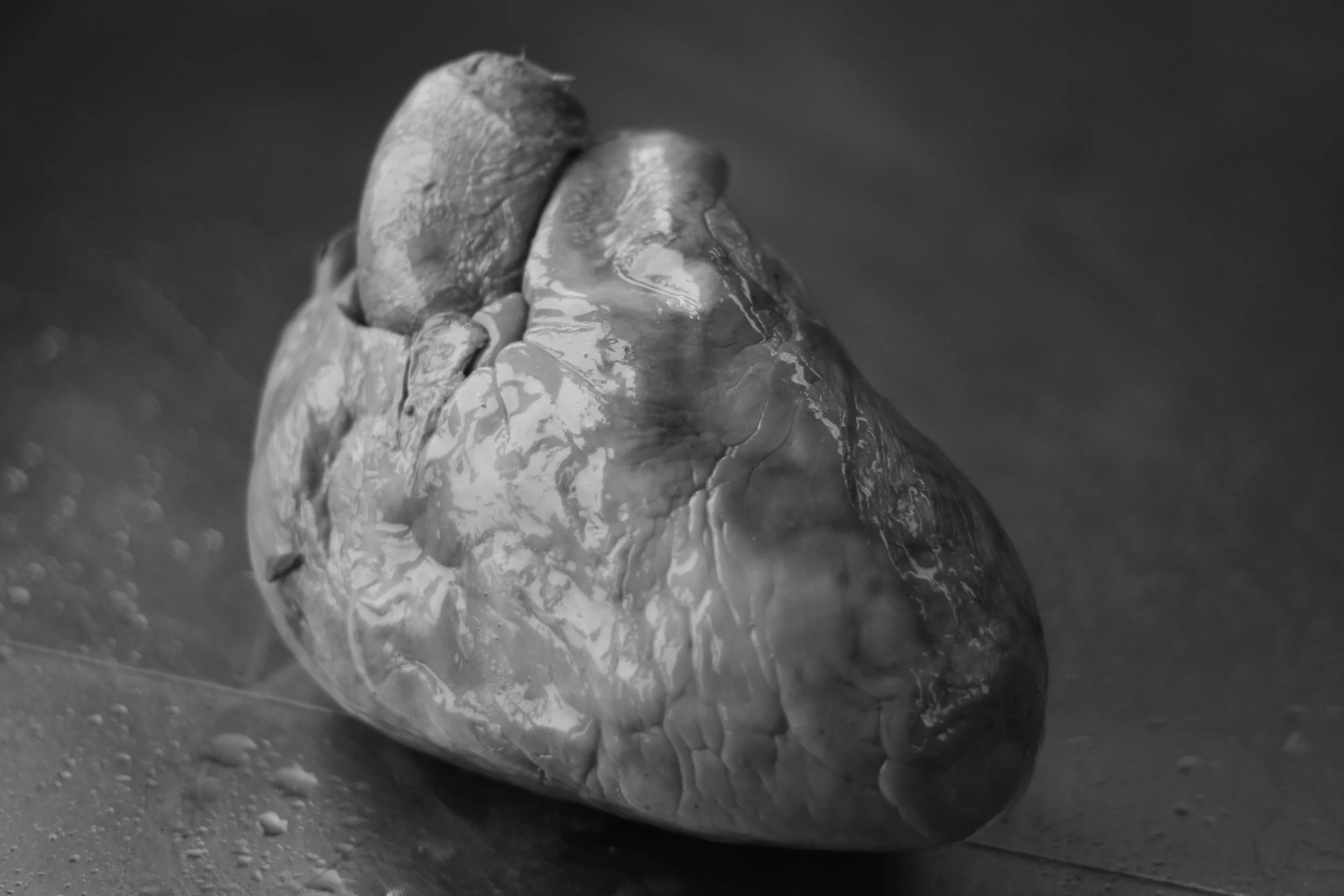 The heart