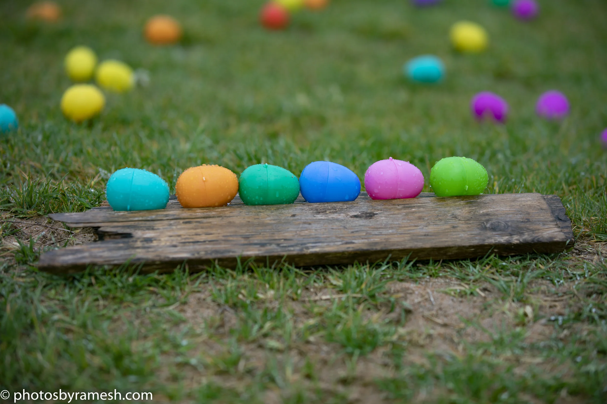Spring Egg Hunt 2019