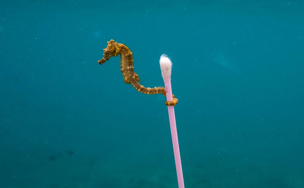 plastic-.jpg
