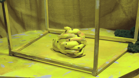 animation GIF by Qieer Wang (2).gif