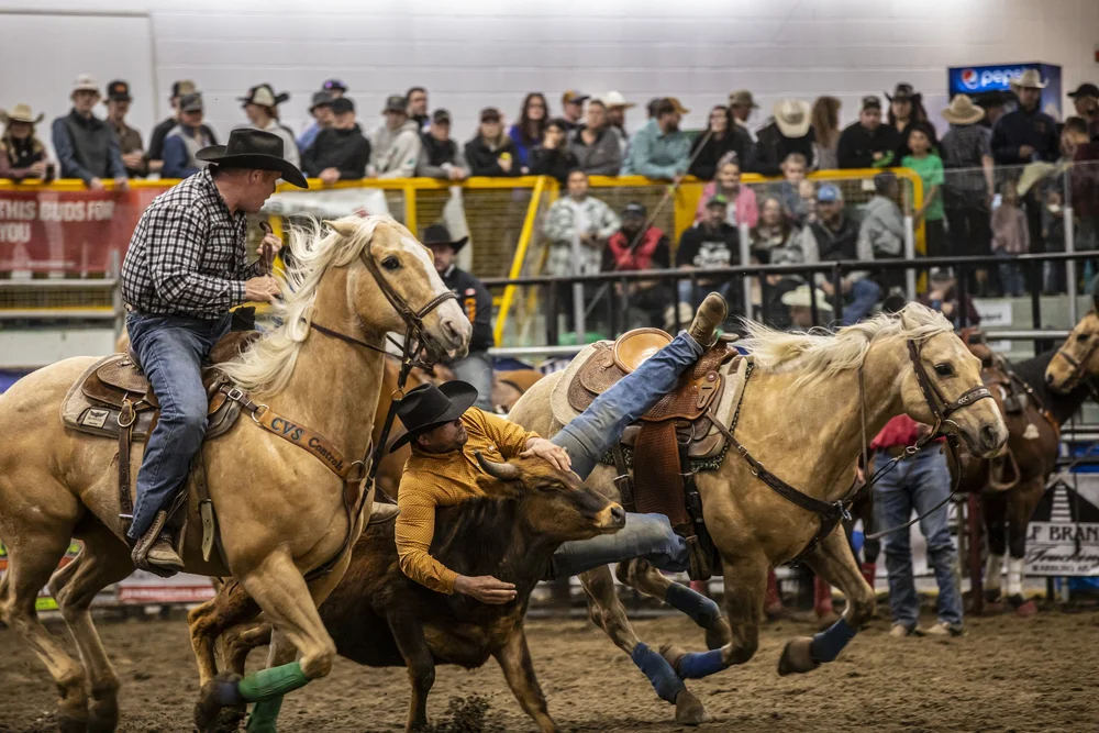Information — 11th Annual Drayton Valley Pro Rodeo